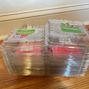 Clear Plastic Clamshell Berry Containers - Clear lot of 15